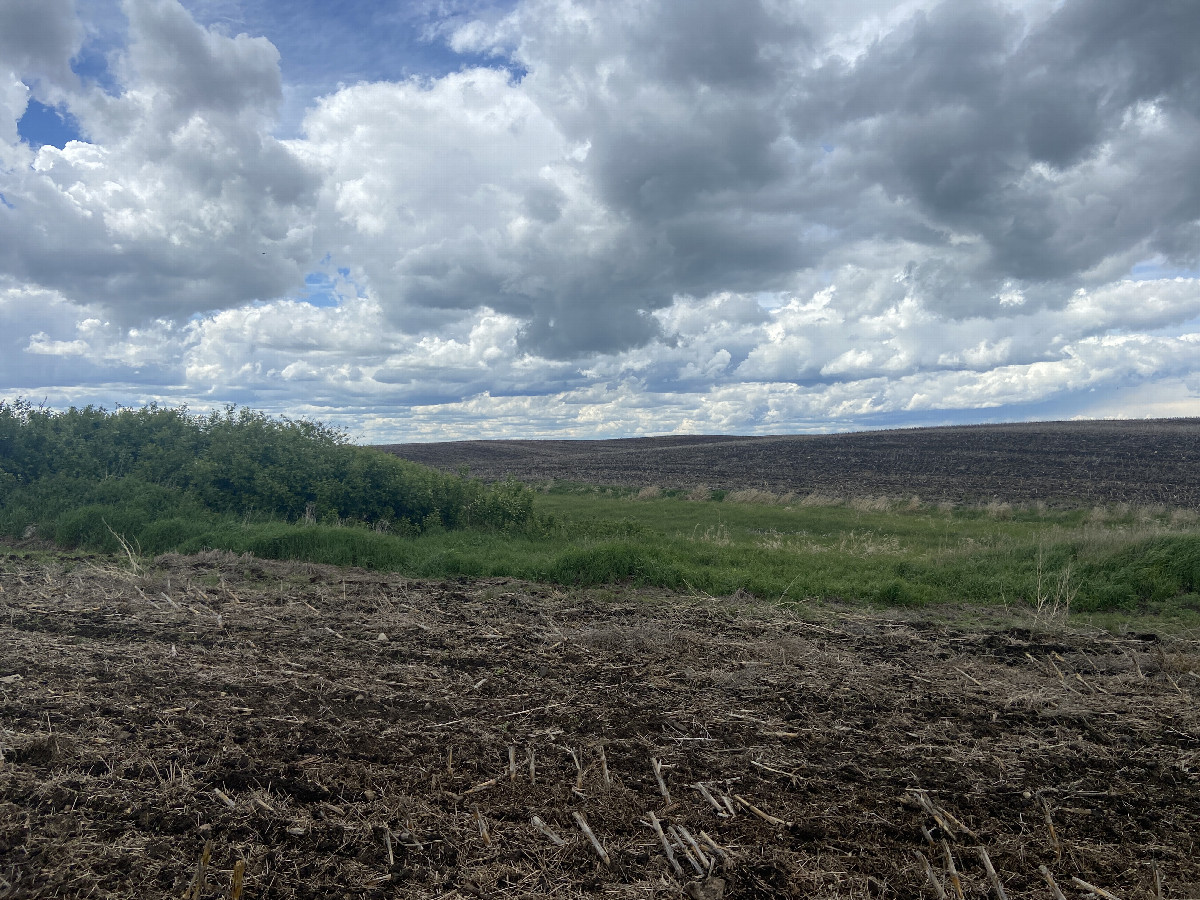 A view to the west from the confluence point.