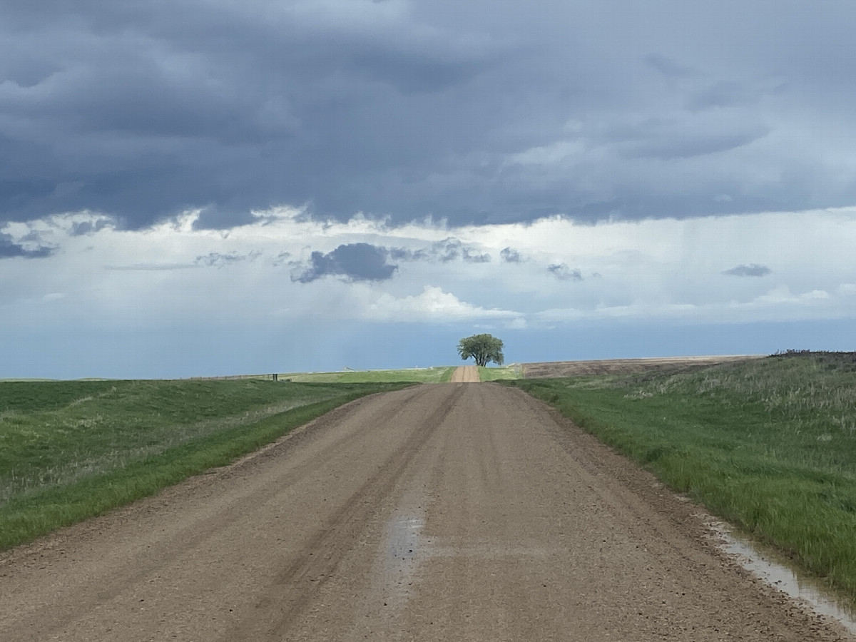 Nearest road to the confluence point, looking due east.