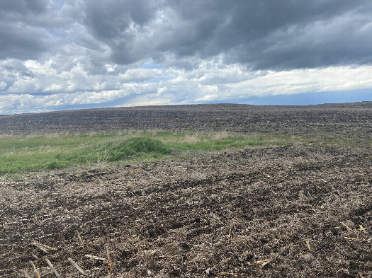 #1: The confluence point lies in the foreground of this picture, looking southeast. 