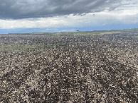 #2: A view to the north from the confluence point.