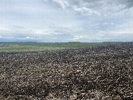 #3: A view to the east from the confluence point. 