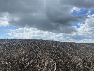 #4: A few to the south from the confluence point.  