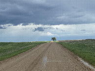 #9: Nearest road to the confluence point, looking due east.