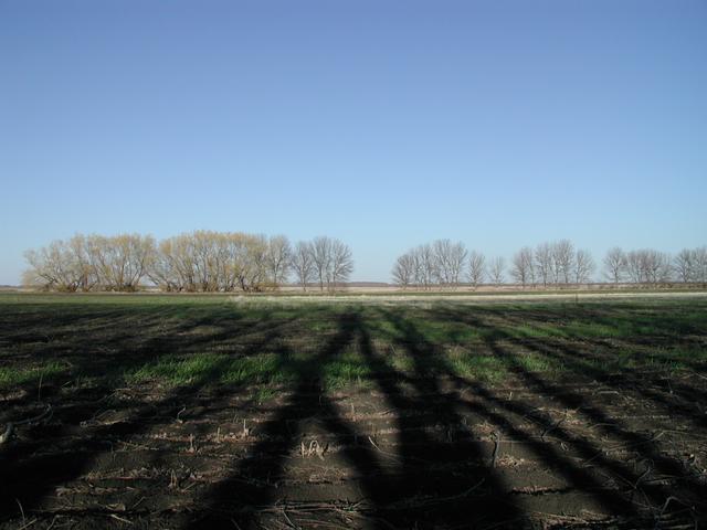 View of the confluence facing east