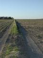 #4: Last stretch of tracks to confluence (facing away from confluence towards gravel road)