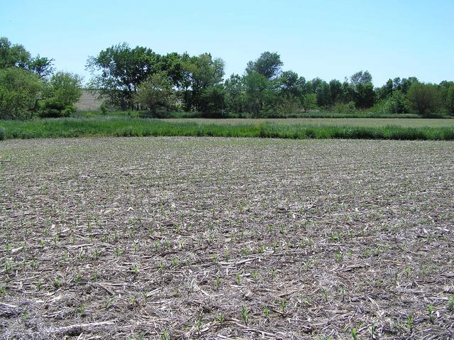 View to the southwest from the confluence.