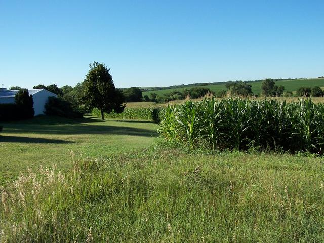 Overview looking south from near Highway 66.