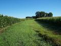 #2: Looking North from near the confluence.