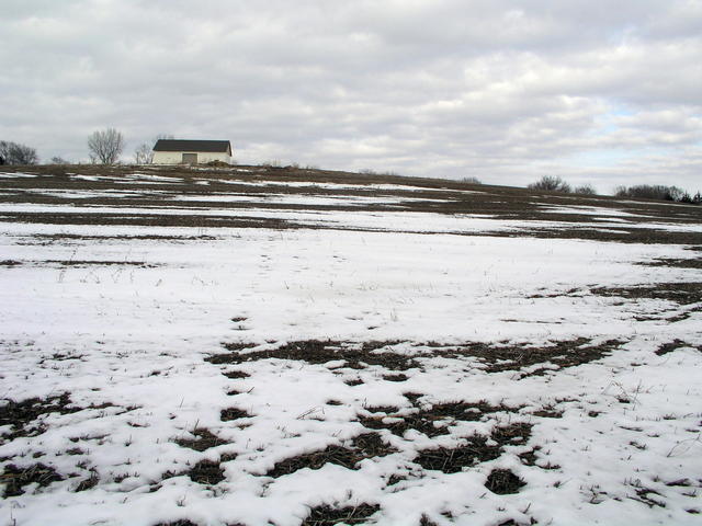 Visitors walking down to the cp from the east left three sets of tracks on February 17th.