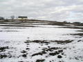 #3: Visitors walking down to the cp from the east left three sets of tracks on February 17th.