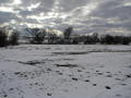 #5: Looking west from 41N 96W near sunset on International Confluence Day 2007.