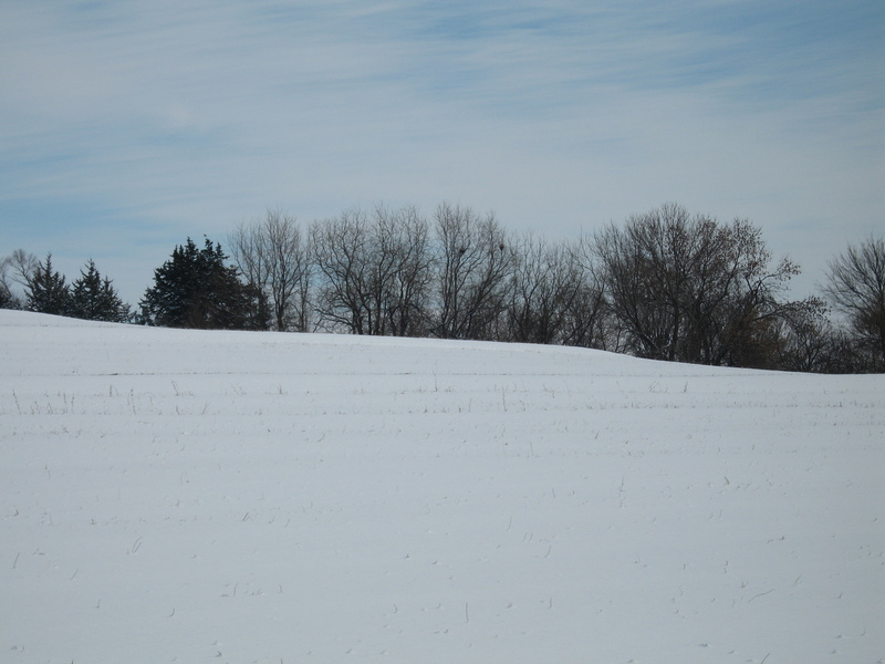 Picture taken to the East, standing over the confluence,