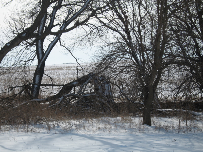 Picture taken to the South, standing over the confluence,