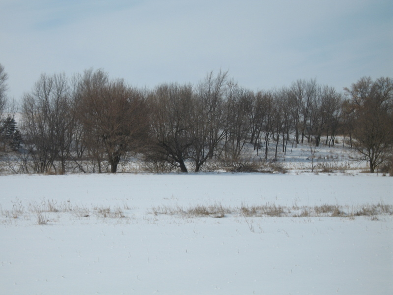 Picture taken to the West, standing over the confluence,