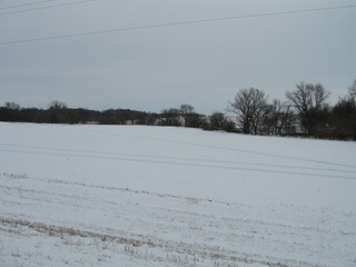 #1: Picture of the general area of the confluence, taken within 100 meters of the confluence.