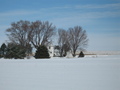 #2: Picture taken to the North, standing over the confluence,