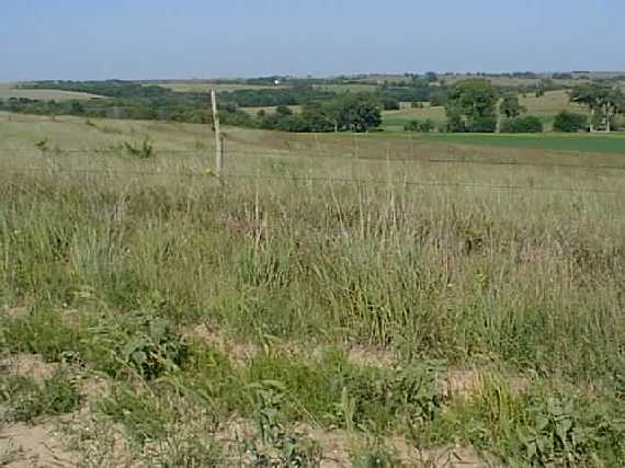 The confluence is down in the valley