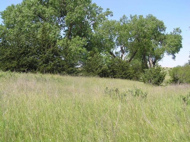 View to the west from the confluence of 41 North 97 West.