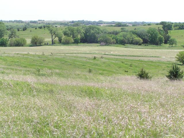 View from the ridgeline 1 km west of the confluence.  The confluence lies just beyond the trees at the bottom of the hill.