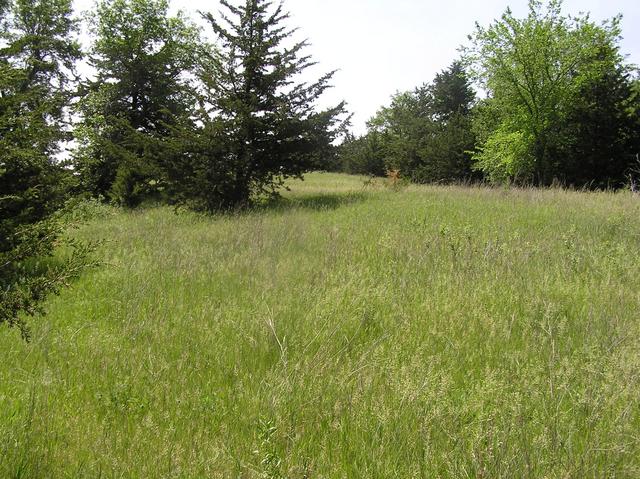 View to the south-southwest from the confluence.