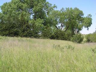 #1: View to the west from the confluence of 41 North 97 West.