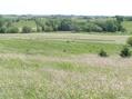 #4: View from the ridgeline 1 km west of the confluence.  The confluence lies just beyond the trees at the bottom of the hill.