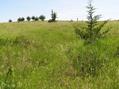 #9: Looking east from the confluence.