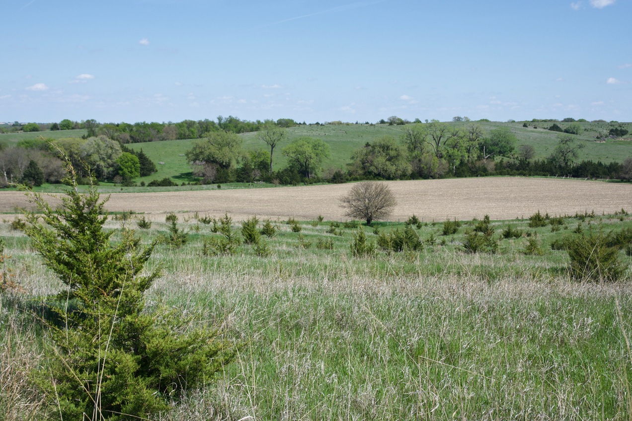 Looking down towards the point from the hillside 1/3 mile to the West.  The point is in the line of trees just beyond the bare field.