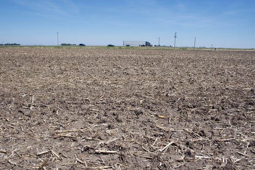 #1: The confluence point lies in a (currently unused) farm field.  (This is also a view to the East, towards a highway, 0.1 miles away.)