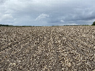 #4: View to the north from the confluence point. 