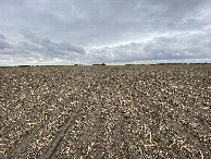 #6: View to the south from the confluence point. 