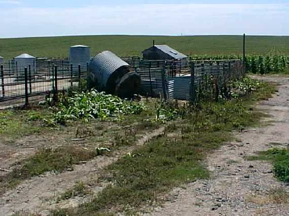 Corn field where the confluence is located - looking south