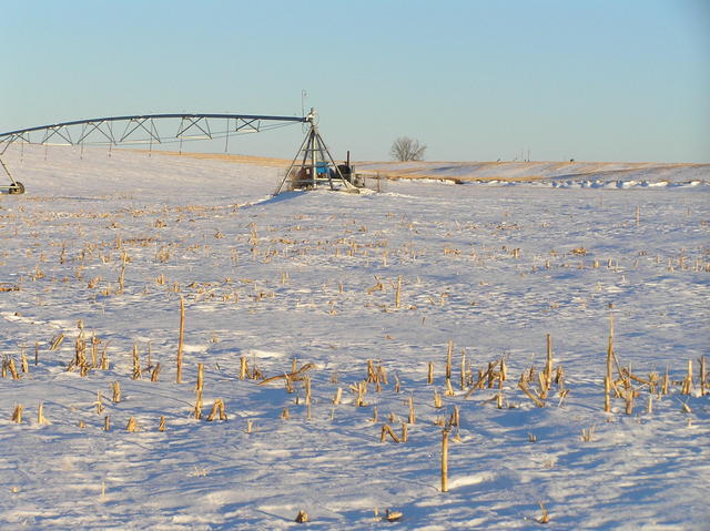 Center pivot irrigation:  View to the north from 41 North 100 West.