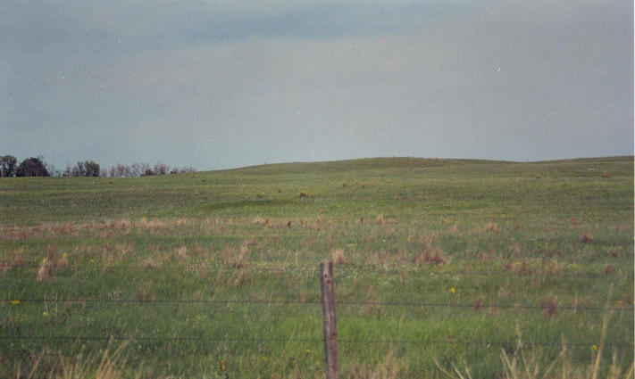 Looking east from Hershey-Dickens Rd, point is above fence post in center of picture.