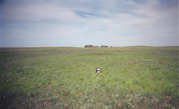 #1: T. McGee Bear facing west at the point.