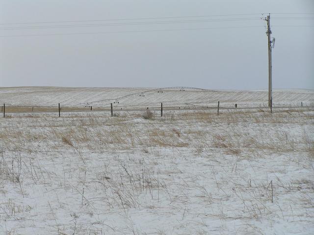 View to the west from the confluence.