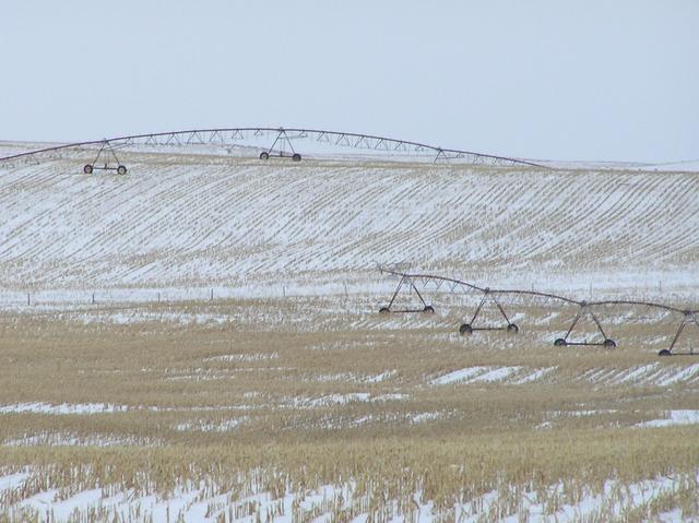 Irrigation systems about 800 meters to the west of the confluence.