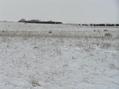 #2: View to the south from the confluence.