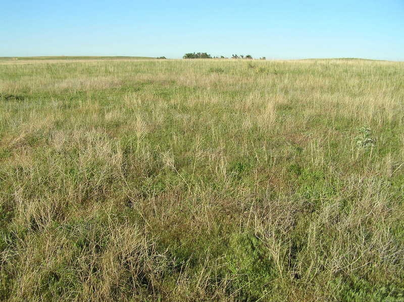 The site of 41 North 101 West, in the front center of the photograph, looking due east.