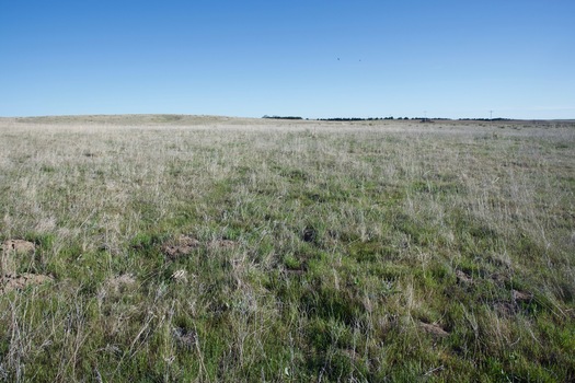 #1: The confluence point lies in a (currently unused) farm field.  (This is also a view to the South.)