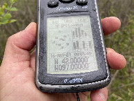 #2: GPS reading at the confluence point. 