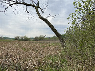 #7: View to the west from the confluence point. 