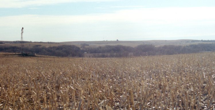 Surrounding farmland