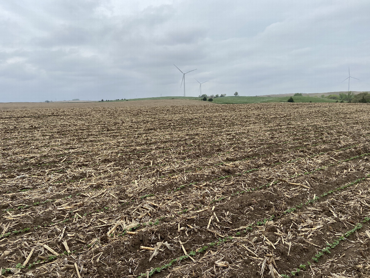 The site of 42 North 98 West, in the foreground, looking northwest.