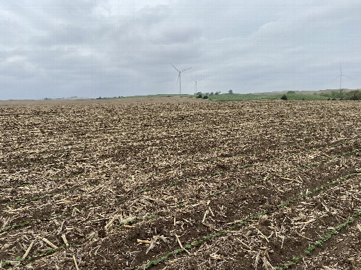 #1: The site of 42 North 98 West, in the foreground, looking northwest.