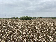 #4: View to the north from the confluence point. 