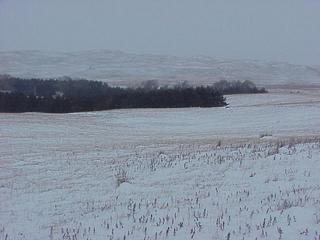 #1: Confluence site in Nebraska Sand Hills, looking northwest.