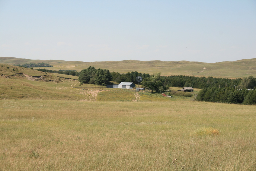 Ranch Buildings Northwest of 42N 101W