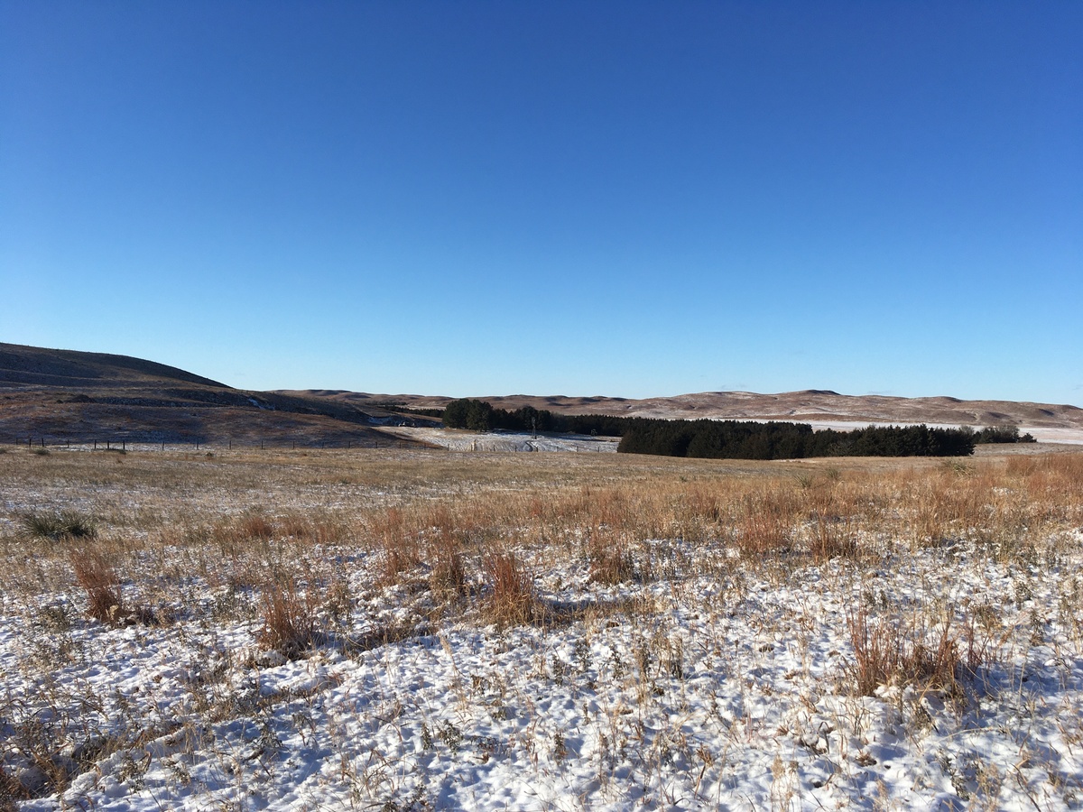 View NW toward the confluence (trodden circle in foreground)