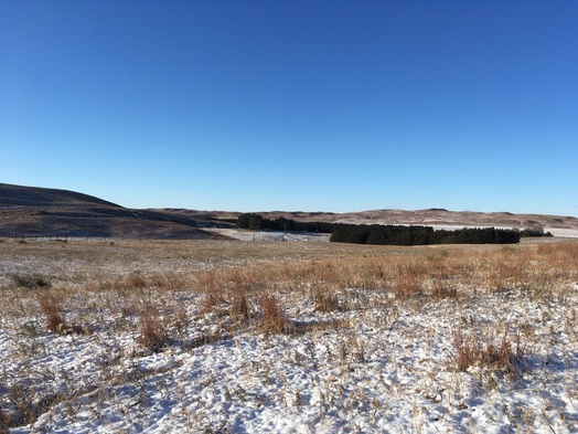 #1: View NW toward the confluence (trodden circle in foreground)